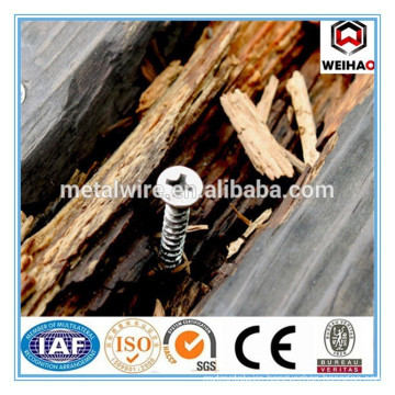 wood screw nails manufacture in China